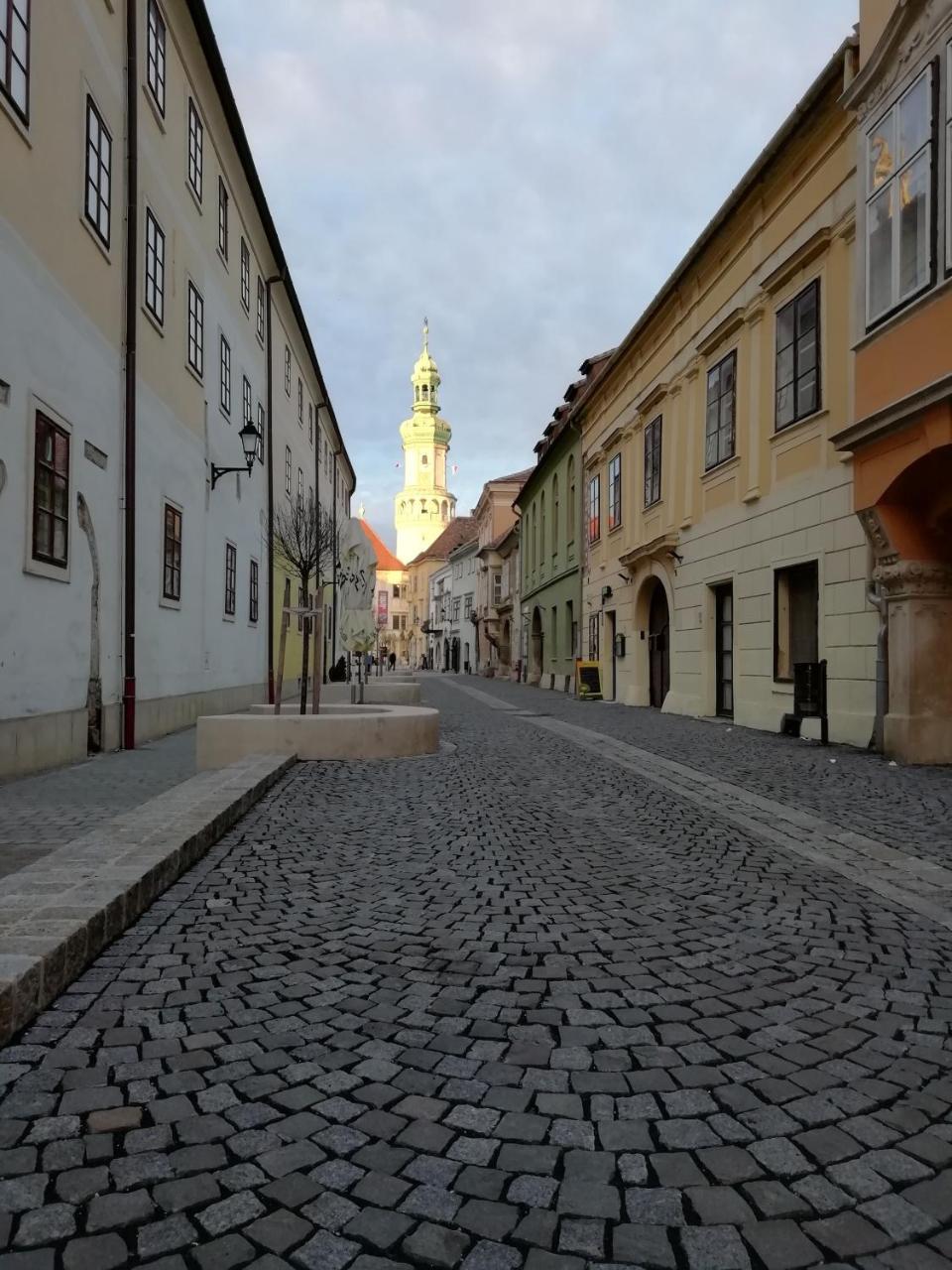 Fueredi Haz Apartman Apartment Sopron Bagian luar foto